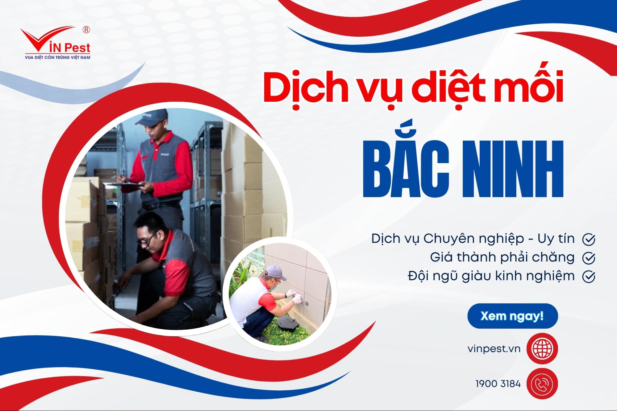dịch vụ diệt mối tại nhà bắc ninh